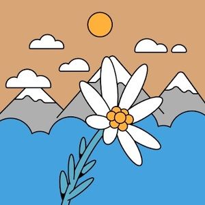 Meet your Posher, Maggie